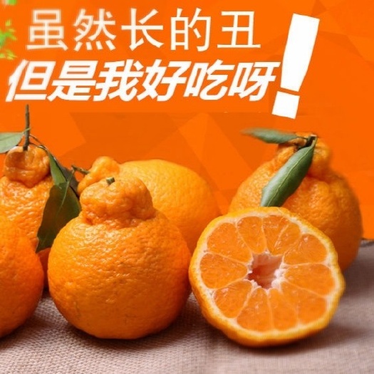 荣县典业不知火丑橘