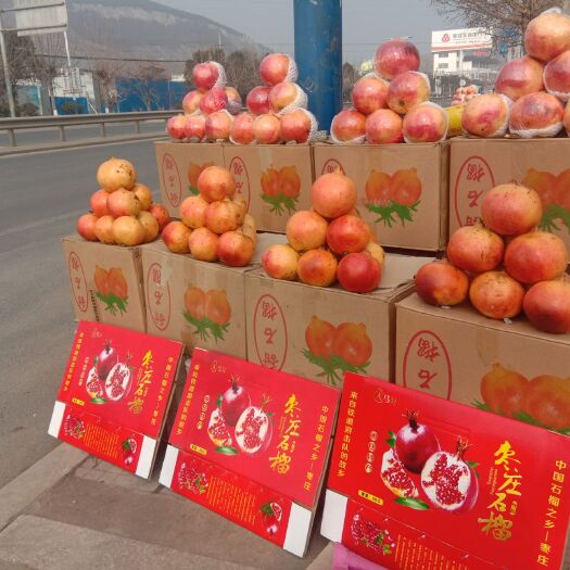 枣庄 超低价格批发零售大籽保鲜甜石榴