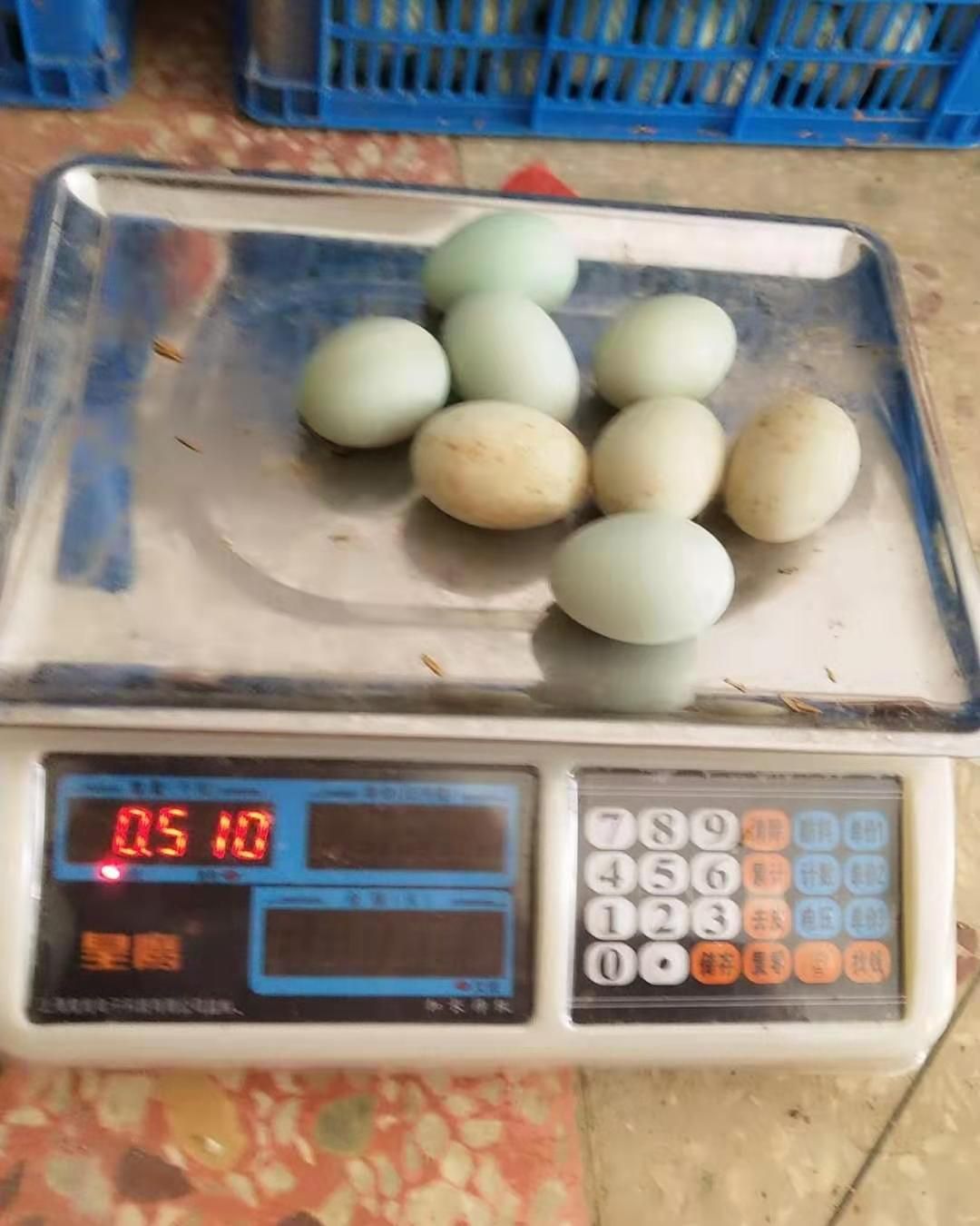 土鸭蛋 食用 散装