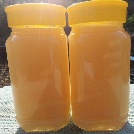 揭西县鸭脚木蜜  独山天然土蜂蜜