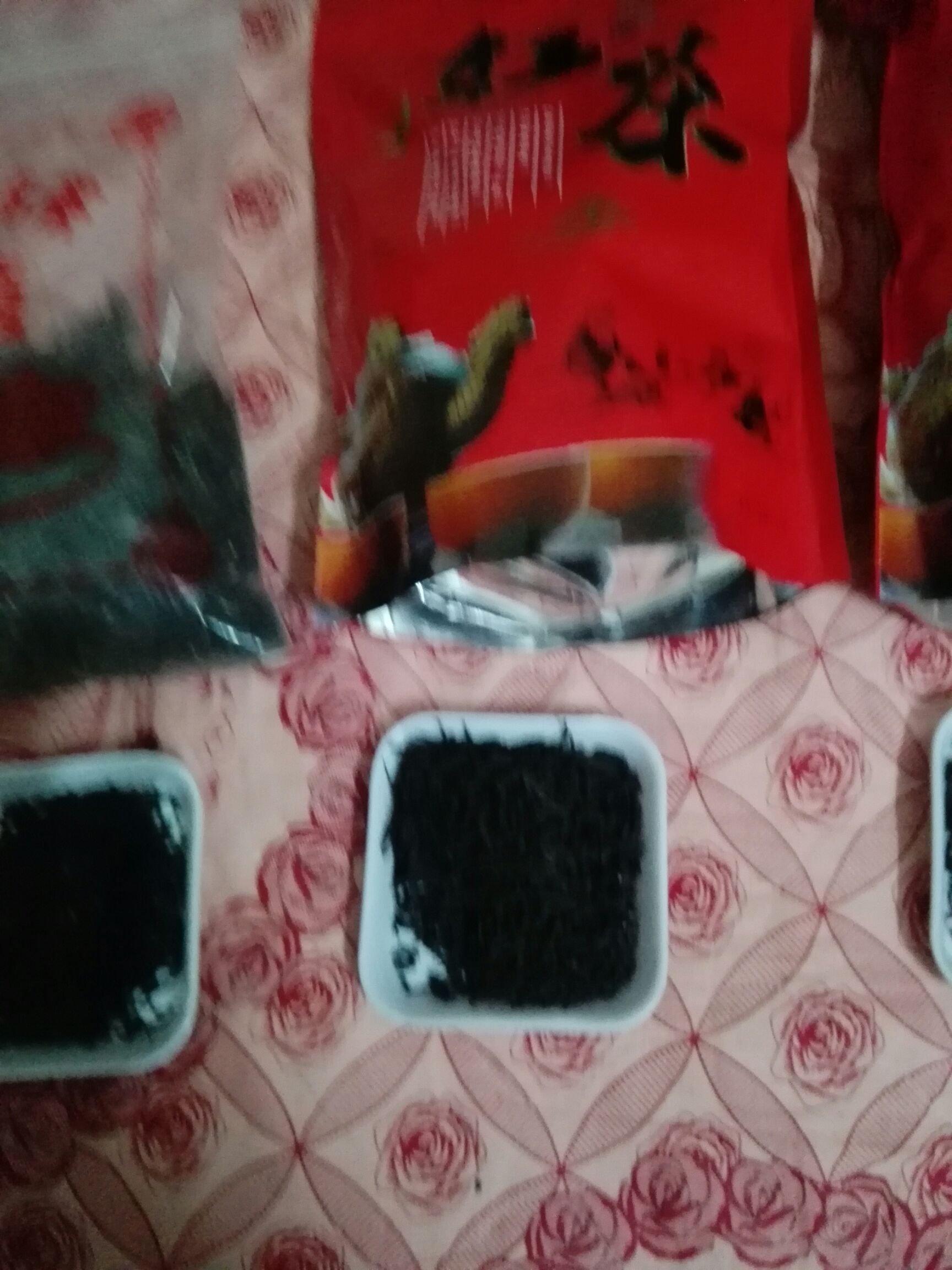  高山红茶正山小种