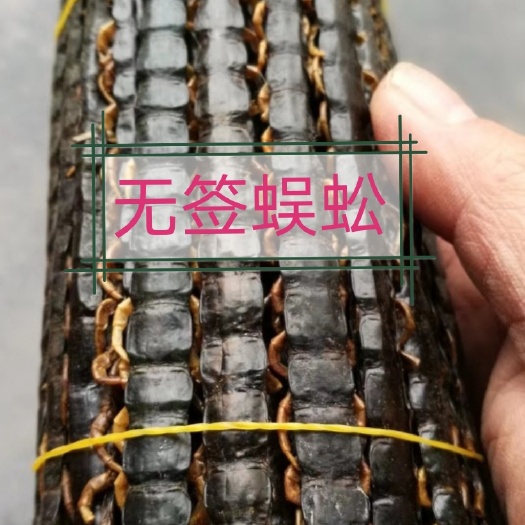 宜城市 产地专营"蜈蚣"