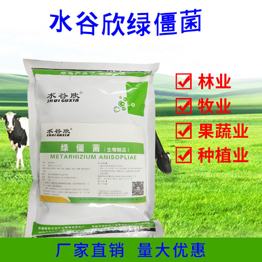 射阳县复合微生物菌剂 【水谷欣】绿僵菌有机微生物菌剂地上地下通用型200克
