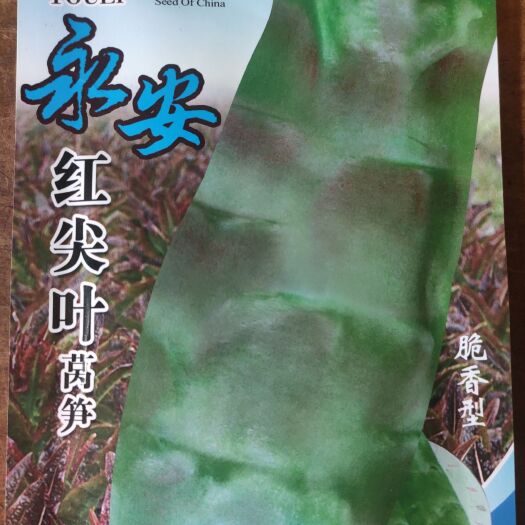 南靖县莴笋种子  永安莴笋 翠绿肉