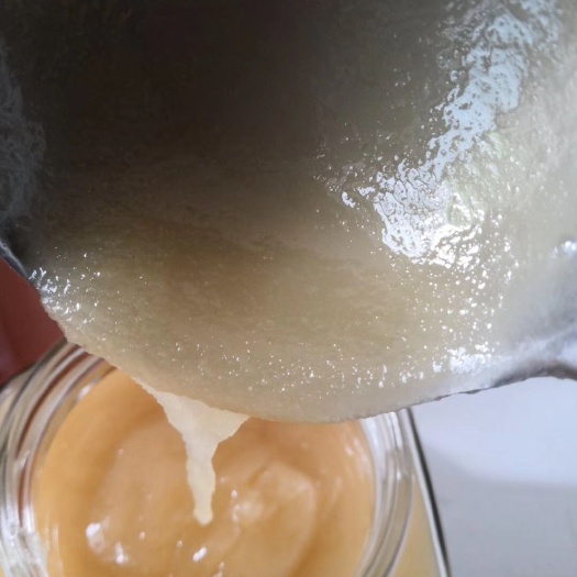 高州市鸭脚木蜜  土蜂蜜 南方蜜种  成熟蜜 封盖蜜