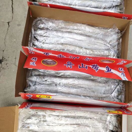 寿光市舟山带鱼  0.5公斤以下