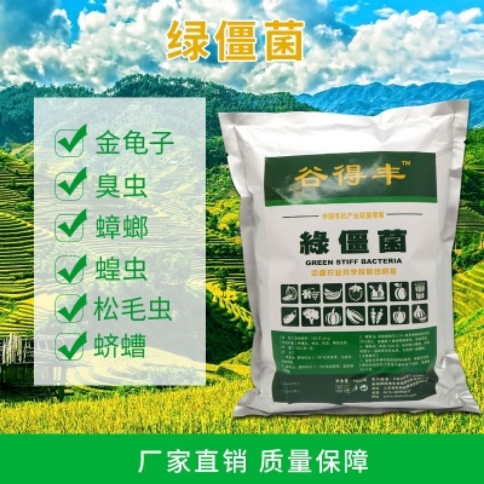 复合微生物菌剂 【谷得丰】绿僵菌广谱微生物**剂，臭虫蟑螂蛴螬等等克星