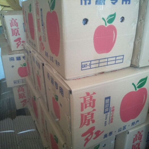 延长县高原红苹果 陕北私库高原红富士