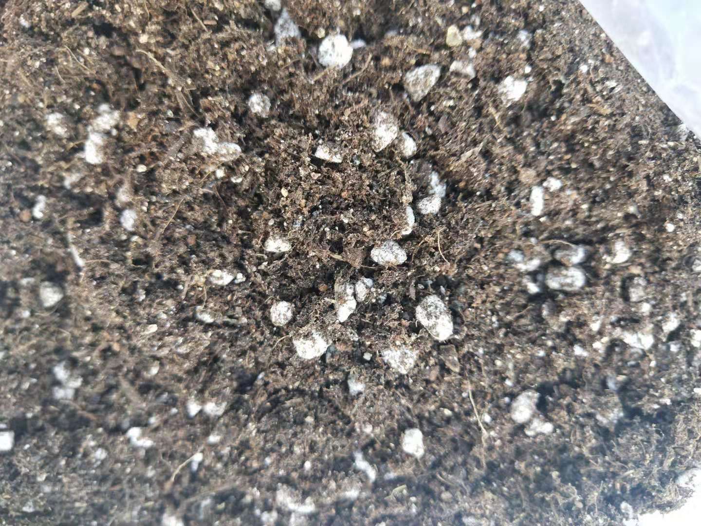 种植土 育苗基地专用基质，大包装，更实惠 量更大 100L
