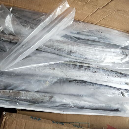 霞浦县冷冻带鱼 福建霞浦海捕急冻大带鱼