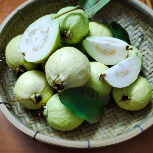 广宁县 广东番石榴鸡屎果