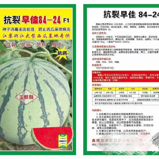 扶沟县早佳8424西瓜种子 抗裂早佳8424~早熟皮薄较耐裂瓤红抗