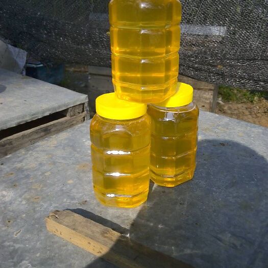 哈尔滨 天然椴树蜂蜜，自产自销保质保量。