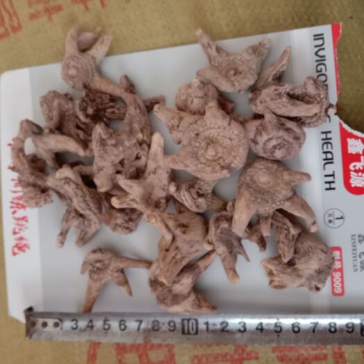 亳州 大白及统货
