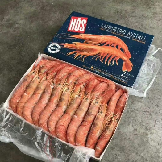 济南阿根廷红虾