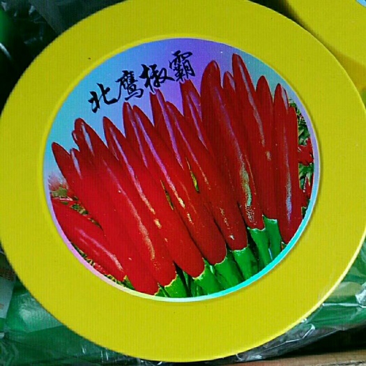 保定辣椒种子 红太阳，新一代，三英，杂交种，国产种子，高，中，低挡种子，