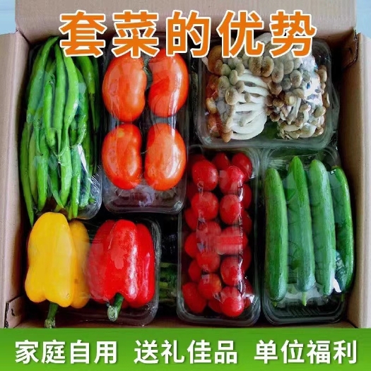 寿光市黄瓜 蔬菜供应