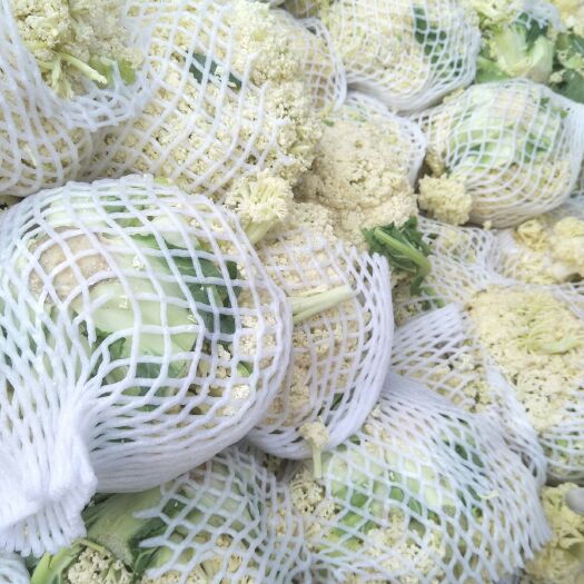 通许县有机花菜 此花个头均匀！小米粒！有要者可拨打1599338049