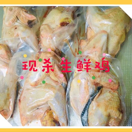 桂林 现杀真空包装散养土鸡肉