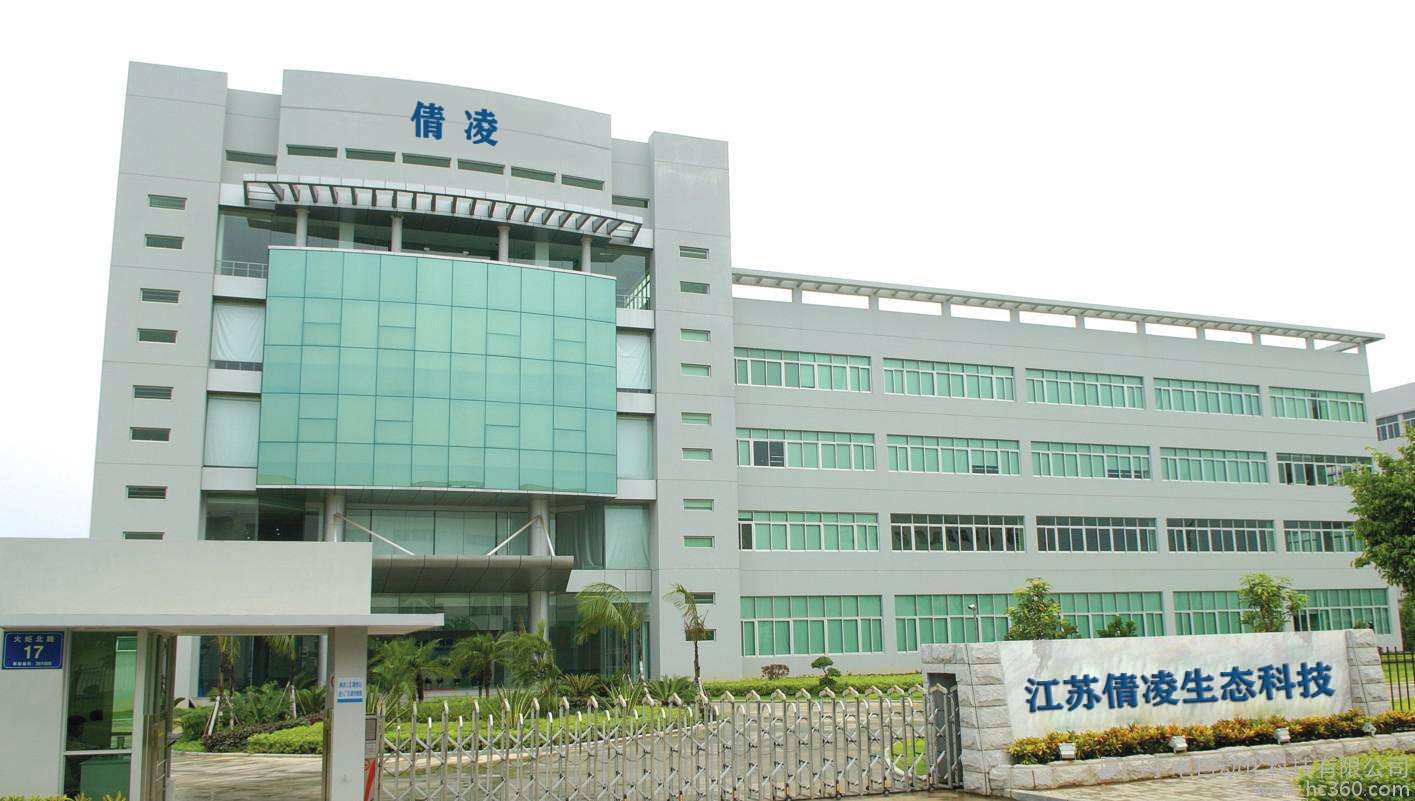 茶花树苗 庭院绿化  山茶花苗 盆栽茶花苗 当年开花