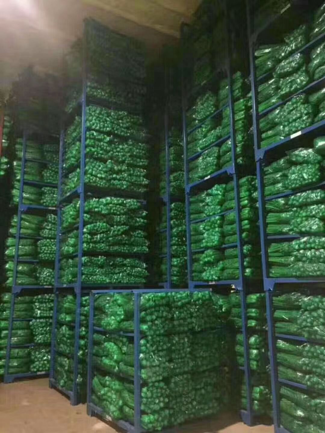 冷冻库租赁 大型冷库出租