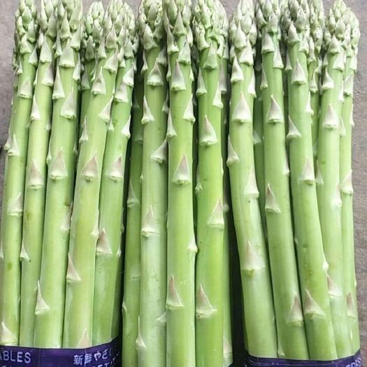 南通绿芦笋 农民直发同样的价钱比质量同的质量比价钱，没中间商价格更优惠。