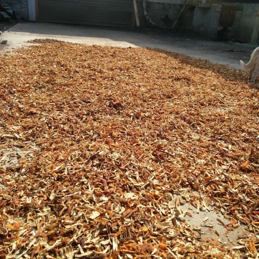 随县 大量供应陈皮丝
