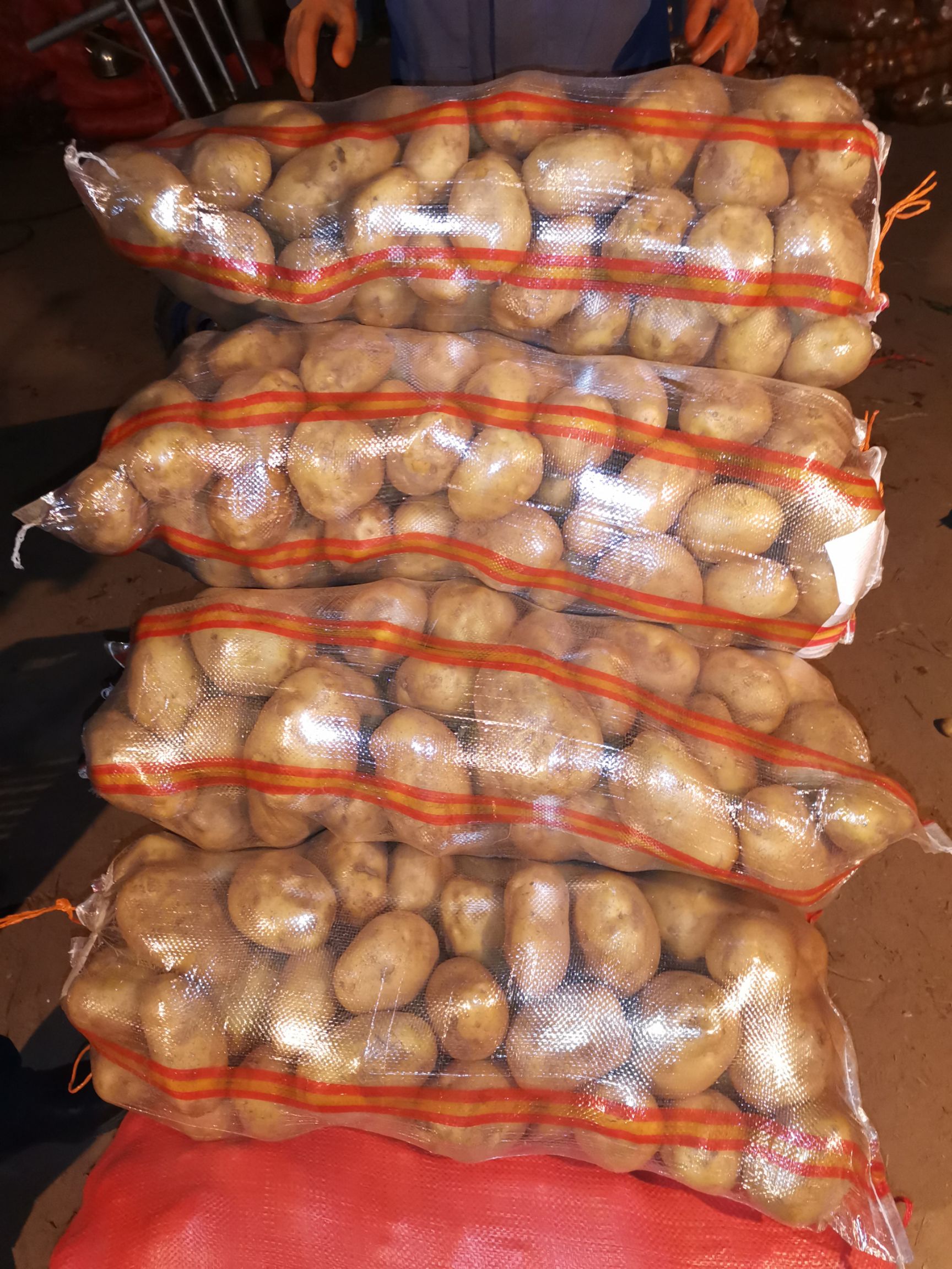 [226土豆批发]226土豆 3两以上价格11元/斤 