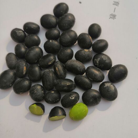  2019年秋收青仁大黑豆皮薄仁脆颗粒饱满，营养美味，药食两