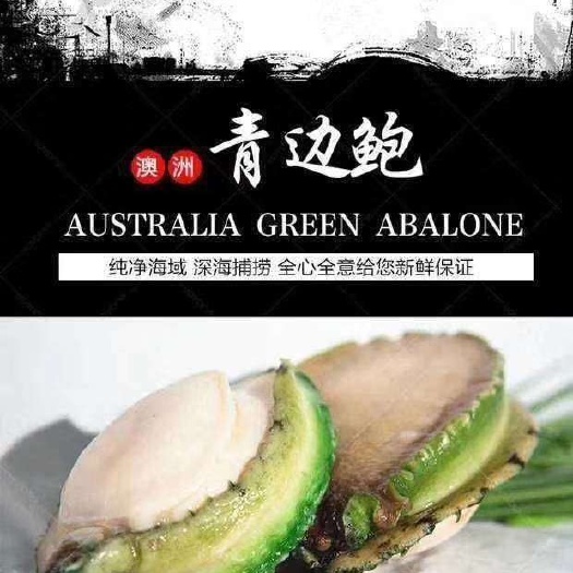 深圳 澳洲鲍鱼，生长在海底30米，，肉质好，香良河口！