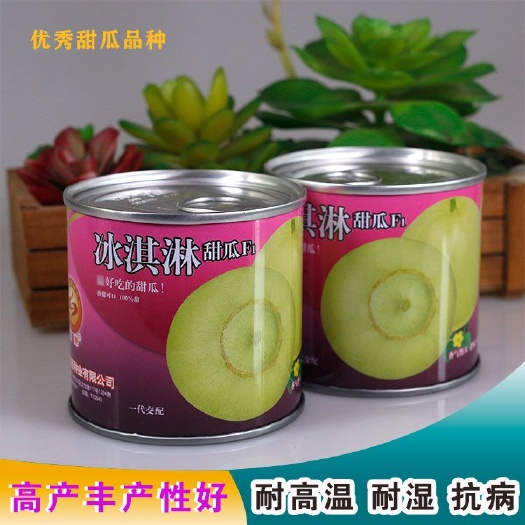 樟树市甜宝香瓜梨瓜种子浓香型脆嫩原装铁罐10克丰产甜瓜种子露地春