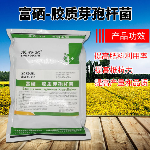 射阳县 （水谷欣）富硒-胶质芽孢杆菌500克装