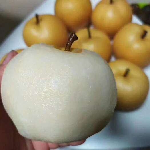 太原 丰水梨