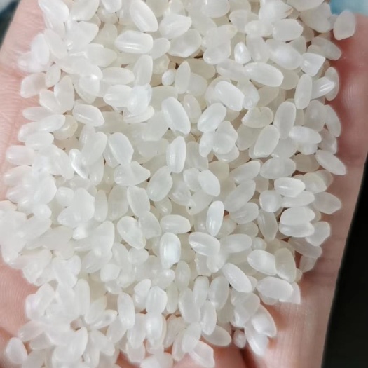 晋江市 盘锦大米