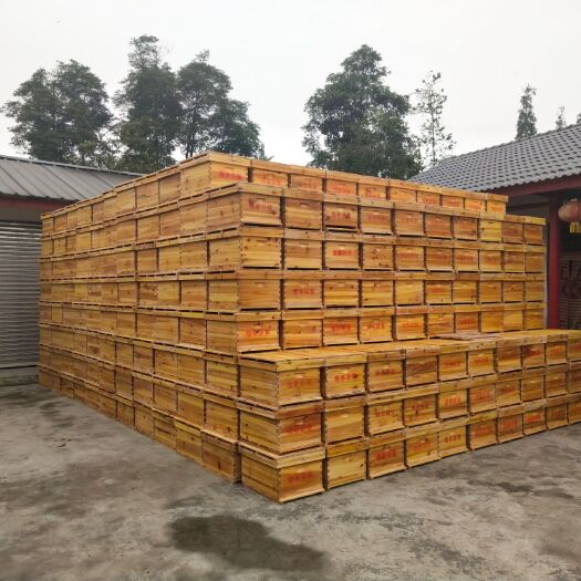 成都中华蜜蜂  成都新津大型中蜂蜜蜂养殖合作社，大量销售中蜂蜜蜂