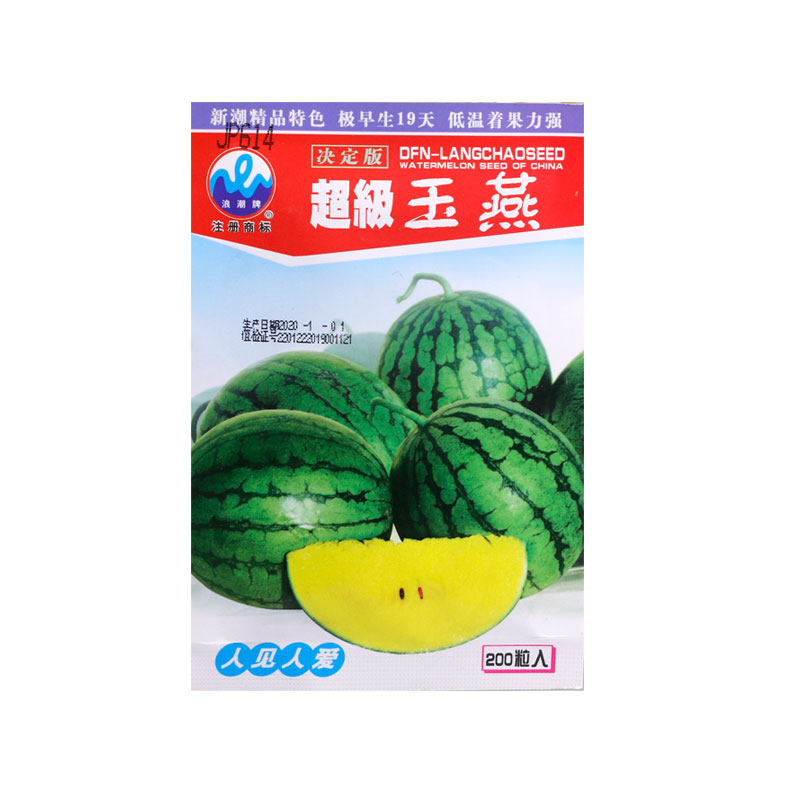 花皮黄瓤西瓜种子礼品瓜单瓜种5斤玉燕早熟抗病强易结果皮薄籽