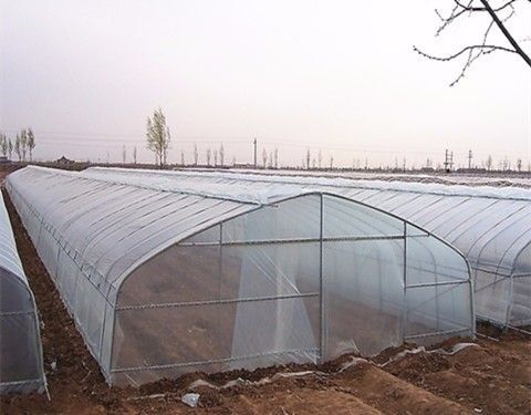 塑料薄膜温室大棚 山东温室大棚建设厂家，春秋棚