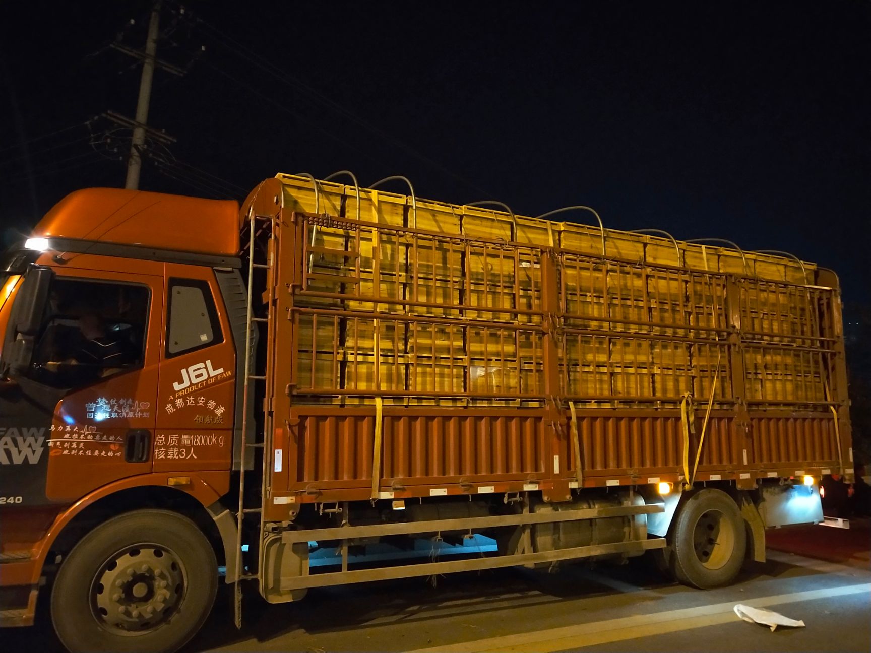 中华蜜蜂  蜜蜂  蜜蜂  阿坝中蜂蜜蜂土蜂