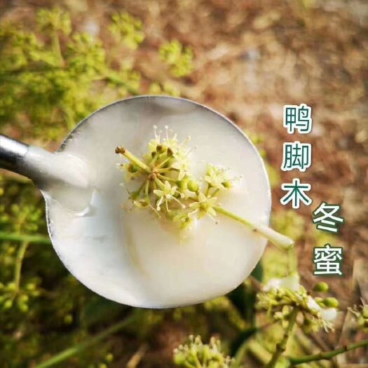 昭平县 纯土蜂蜜，好货不多需要赶紧下单。。