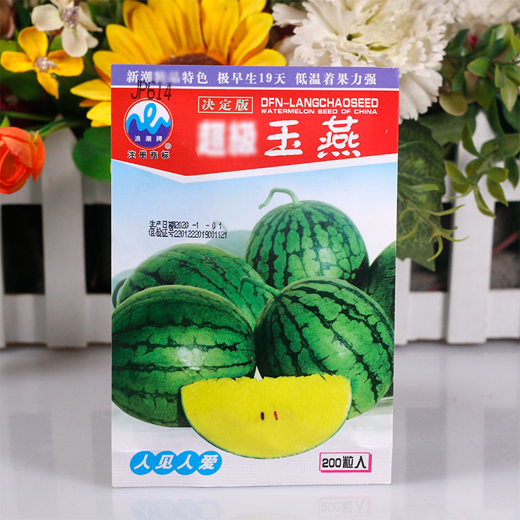 花皮黄瓤西瓜种子礼品瓜单瓜种5斤玉燕早熟抗病强易结果皮薄籽