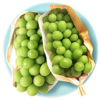 扶沟县蓝宝石葡萄苗  阳光玫瑰，夏黑，巨玫瑰，户太八号葡萄苗