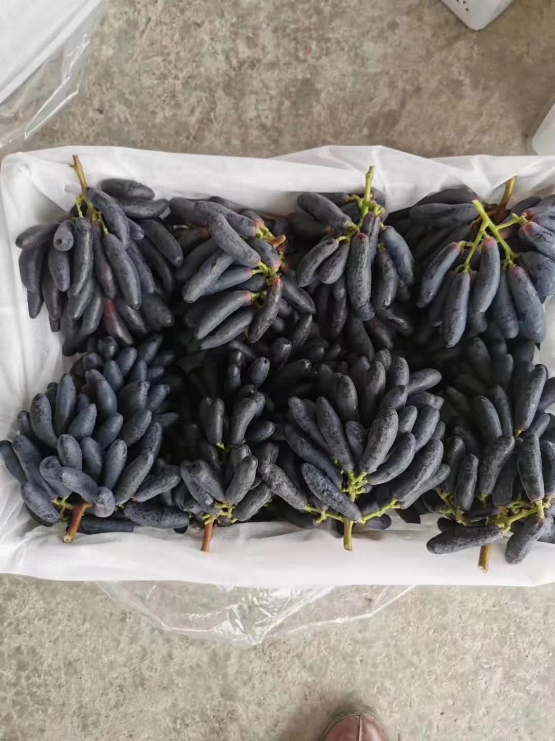 潜江甜蜜蓝宝石葡萄(精品果)