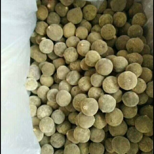 化州市化橘红  橘红小果切片
