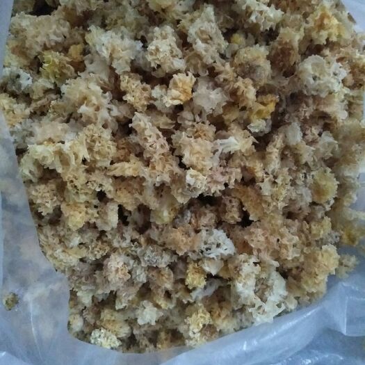 信阳白木耳，即正宗段木银耳