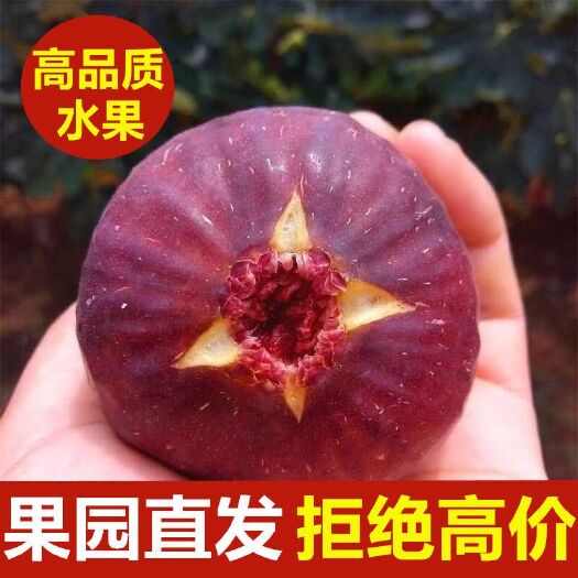 崇州市 新鲜无花果水果当季整箱包邮批发现摘现发1/2/3斤