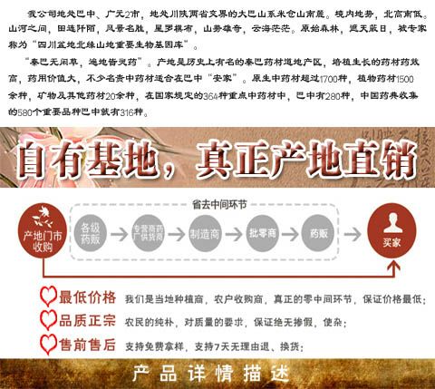 川芎 接近 【基地直发】四川地道产区，气味香浓正品含量好