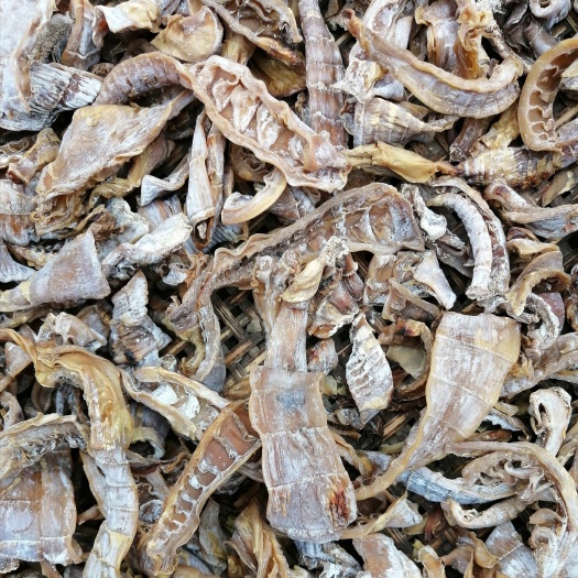 蕲春县 山区春季竹笋，笋干