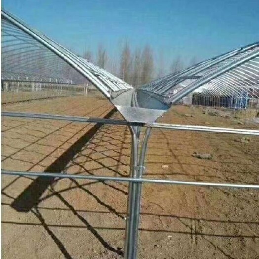 天津镀锌带种植大棚 镀锌带热镀锌包塑温室大棚管厂家