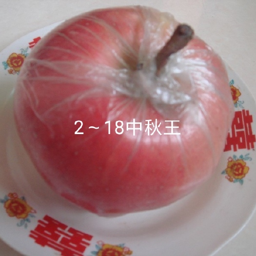 辛集市中秋王苹果树苗 ～中秋、国庆双节成熟。短枝，大果型。产量高。
