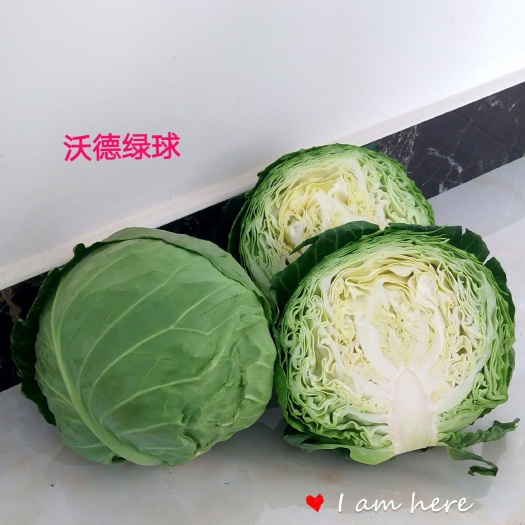 济南绿甘蓝种子  沃德绿球